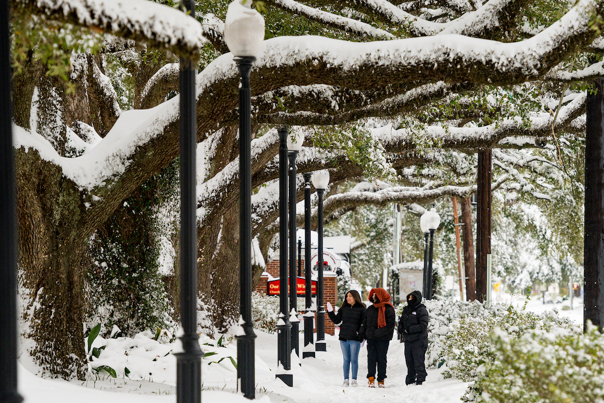 Students walk down St. Mary Boulevard after the blizzard of 2025.