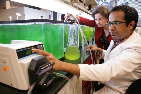 UL Lafayette biology research lab